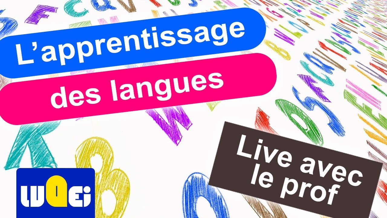Apprendre les langues étrangères à l'école - Le live pour préparer le dalf C1 C2