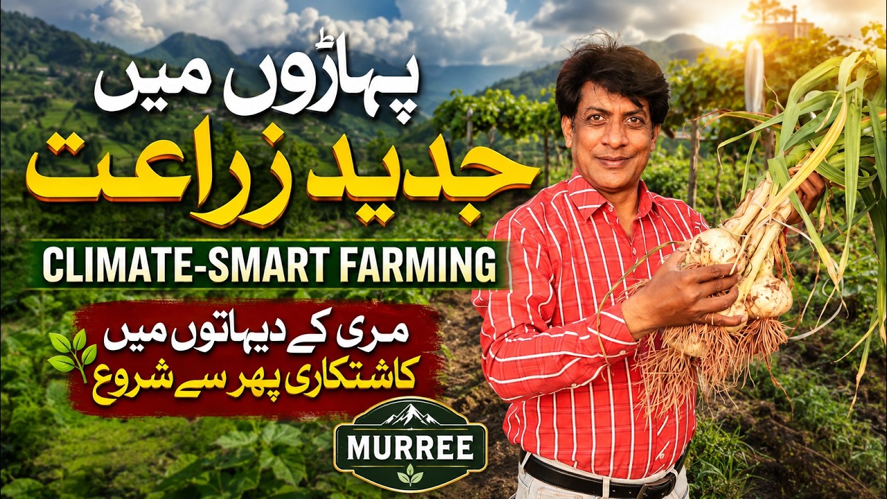 Sustainable Agriculture in Pakistan: The Kafalah Foundation Project