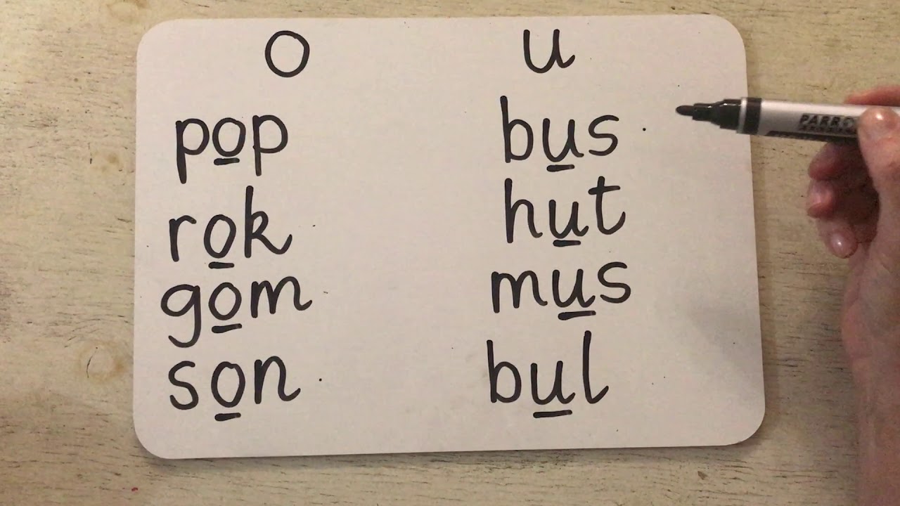 Afrikaans  Grade 1 Term 2 Week 4 Video 2 The o and the u sound