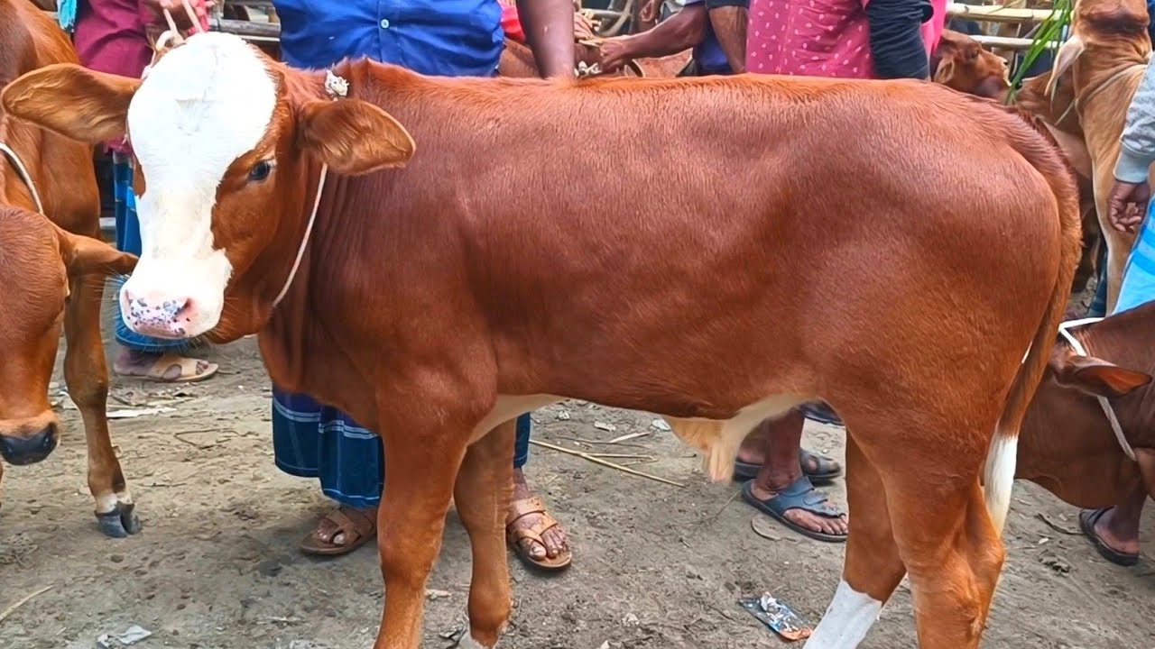 @আজ ২৭ ফেব্রুয়ারী