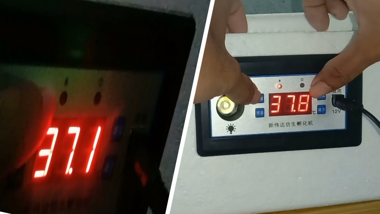 Part 2: SULIT! ITONG NABILI KUNG INCUBATOR, AUTOMATIC!