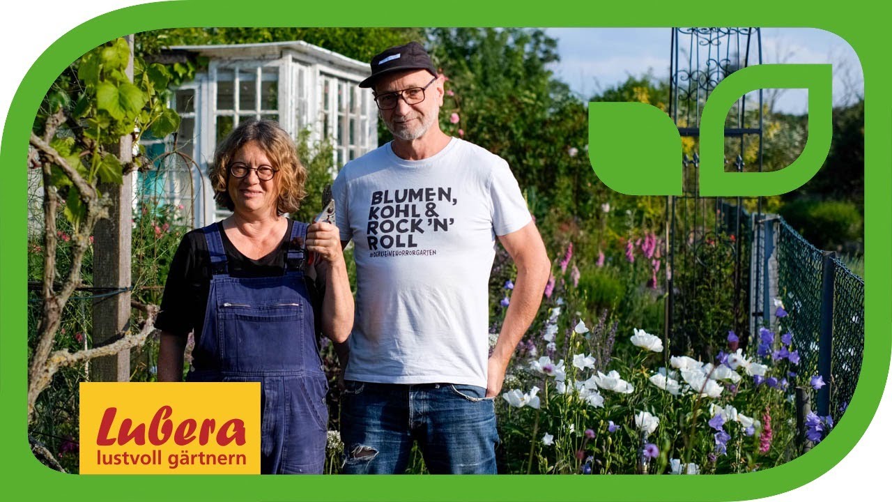 Chelsea Chop: Stauden vor der Blüte schneiden 🌼