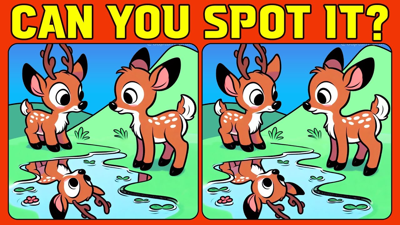 🧠🧩Spot the Difference | Puzzle Mania 《HARD》