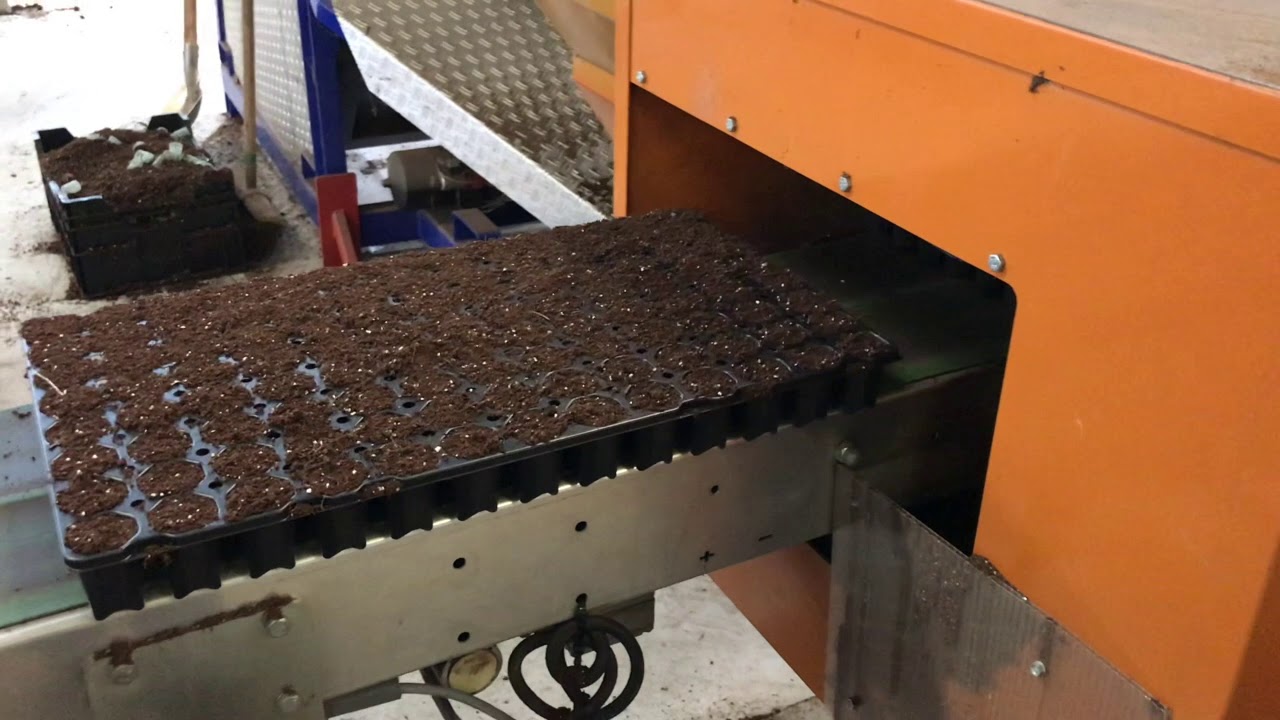Javo Rotofill tray filling machine