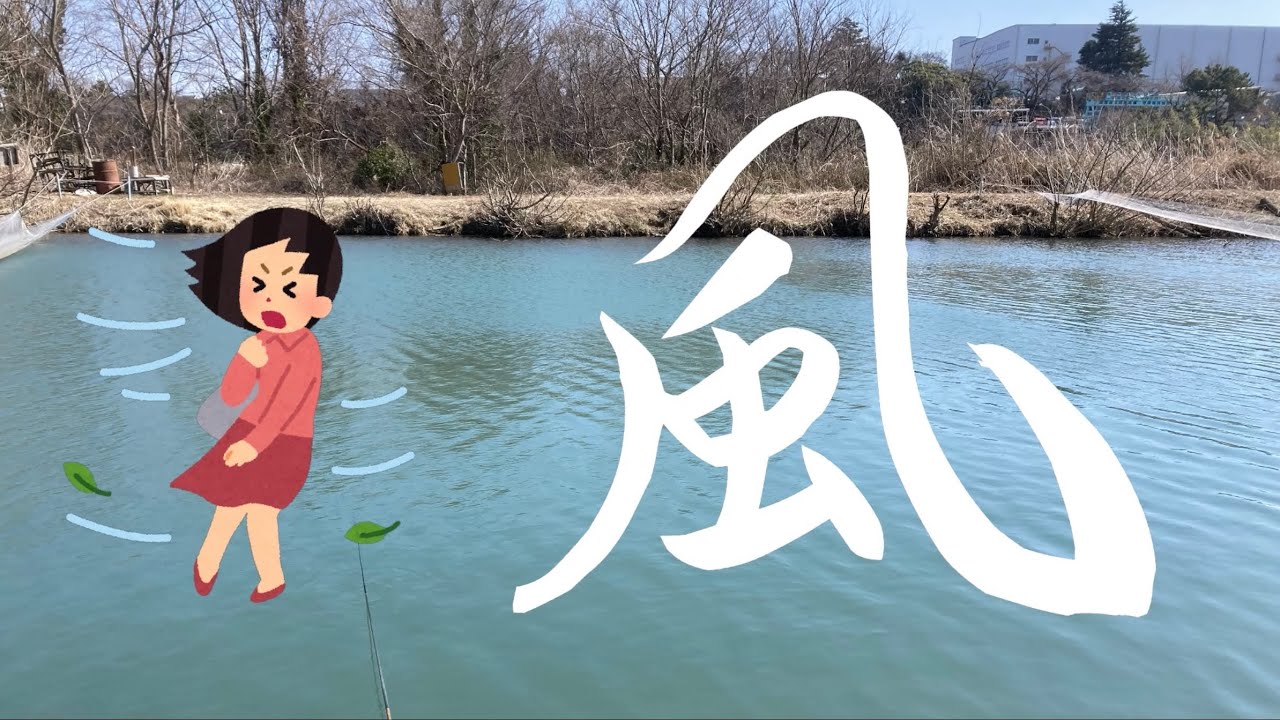 強風を制し、今年初の野釣り一枚目なるか！？【へらぶな釣り】【野釣り】道満ファミリー釣り場