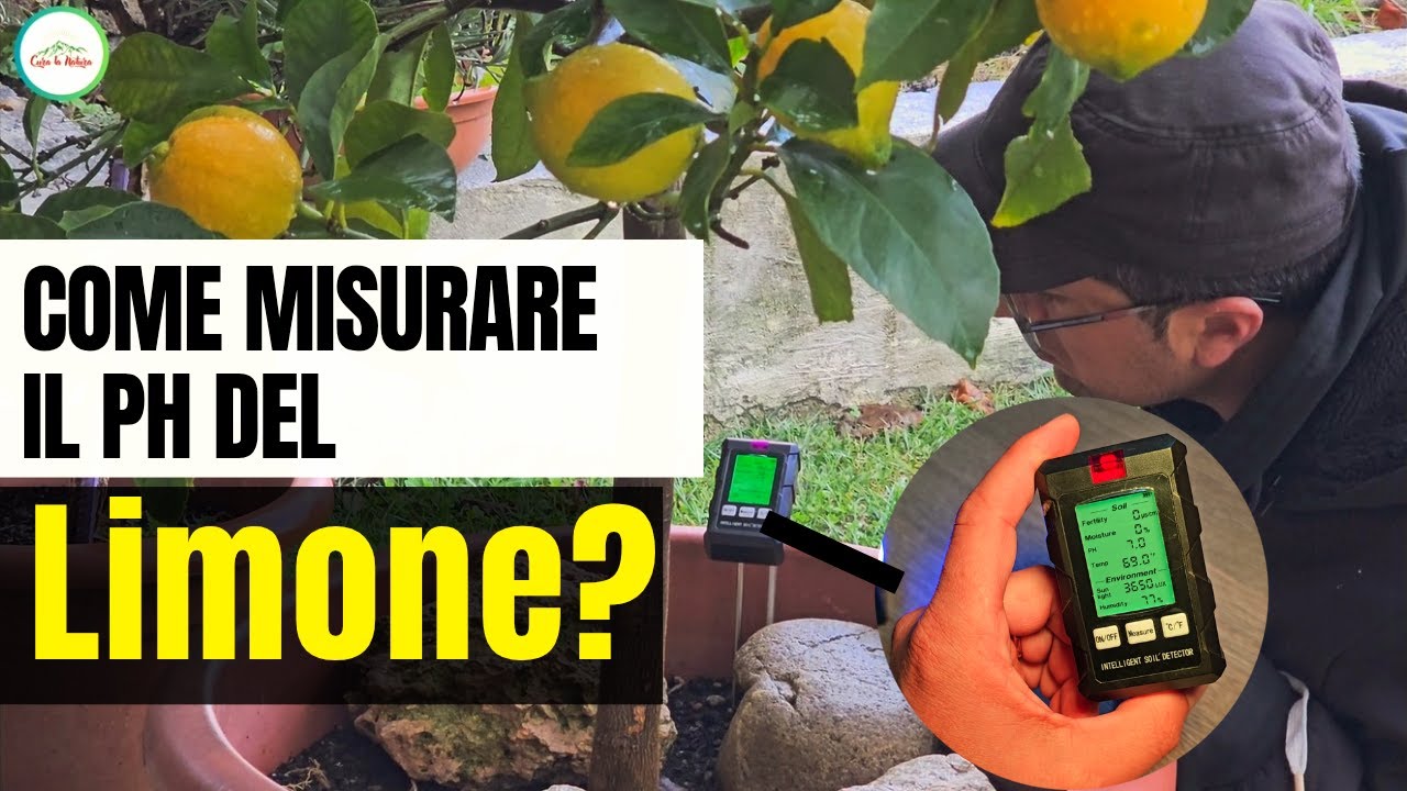 COME MISURARE IL PH DEL TERRENO CON PH METRO DIGITALE? WADEO Misuratore PH Terreno