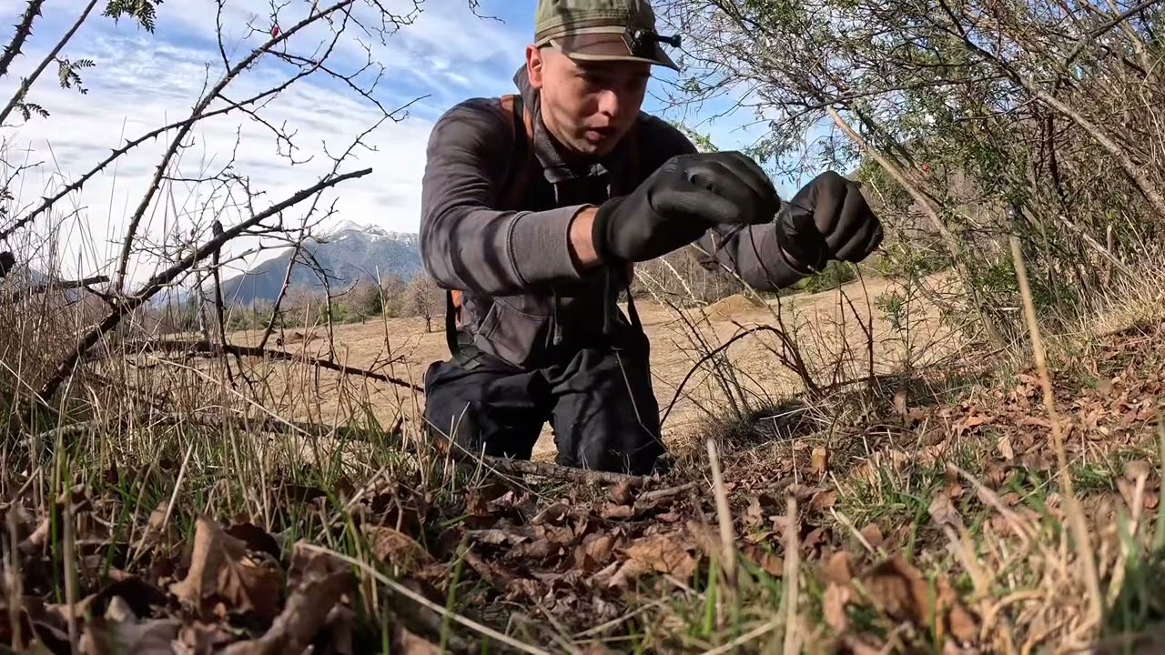 Caza de conejos a huaches o lazos / sur de chile/ antuco