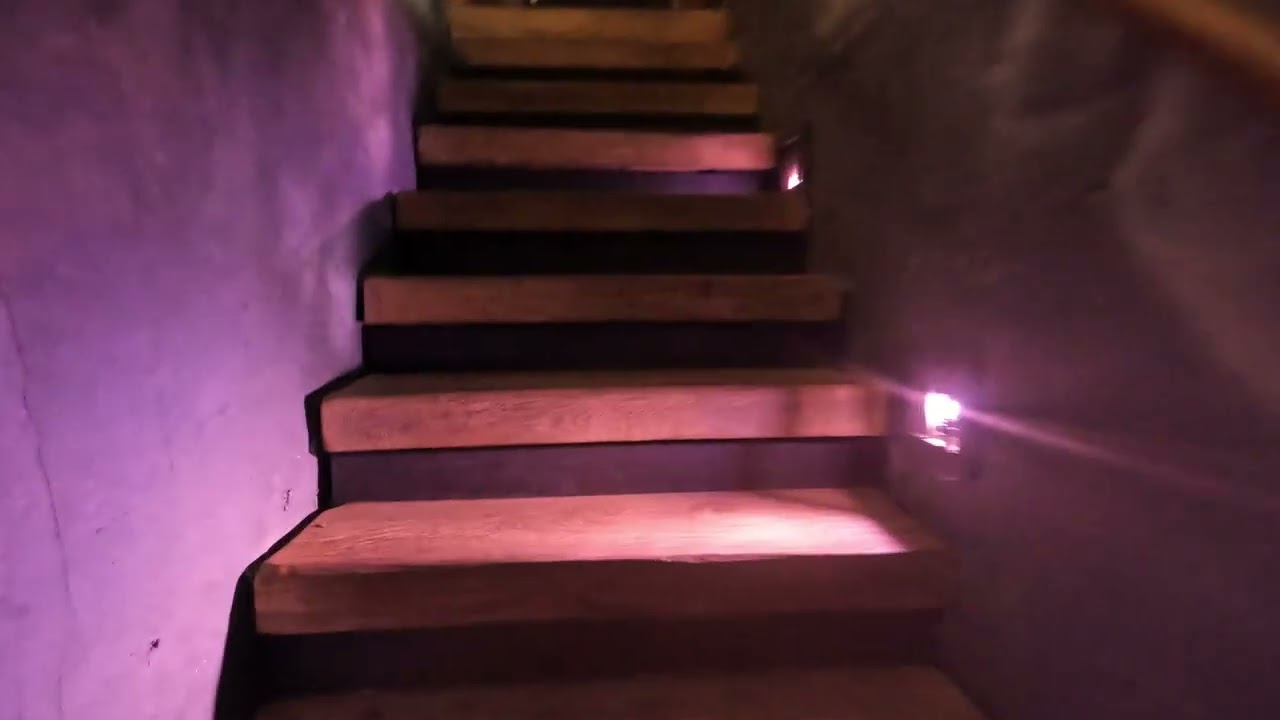 Toverland Fēnix wachtrij + on ride