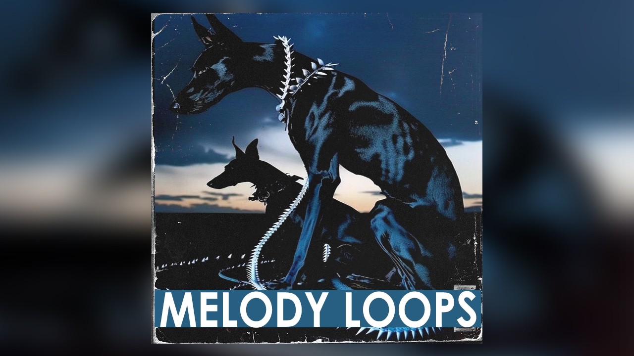 [FREE] SAMPLE PACK / LOOP KIT | MELODY LOOPS (Drake, NBA Youngboy, Rod Wave, Roddy Ricch y Polo G.)