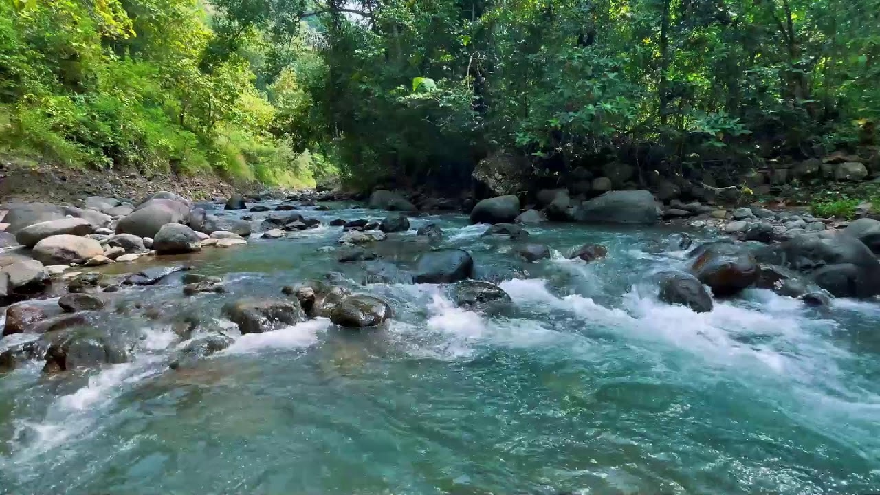 Relaxing River Sounds for Focus, Studying & A Peaceful Home 🌿 Relaxing Sleep Calming Anxiety