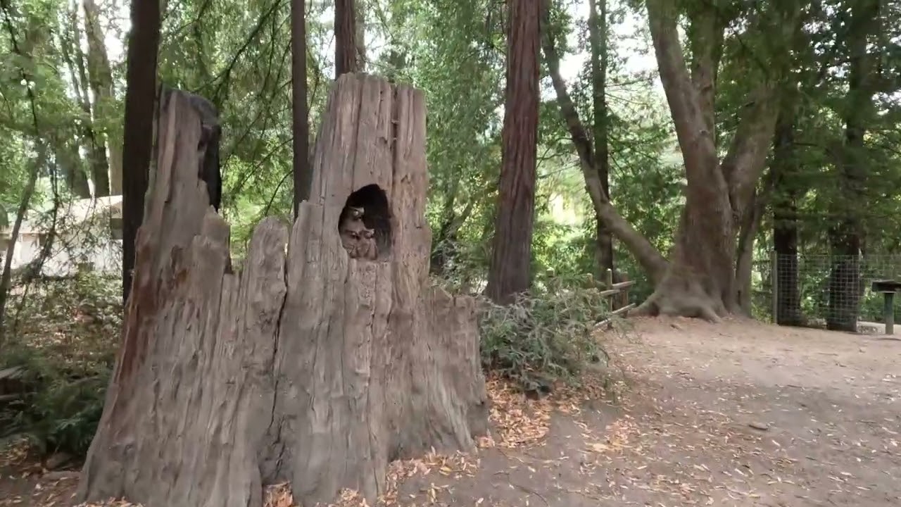 River Bend Resort Walkthrough