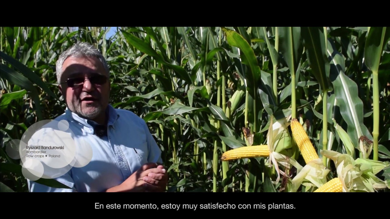 Testimonio Agricultor de Cultivos Extensivos - Polonia