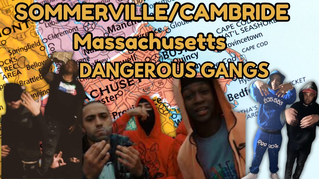 Dangerous Gangs in Cambridge & Somerville, Massachusetts: Origins, Rivalries, and Alliances