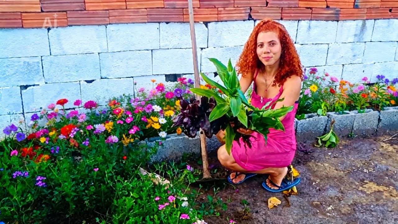 GANHEI NOVAS PLANTAS PARA O MEU JARDIM 🌺🌿