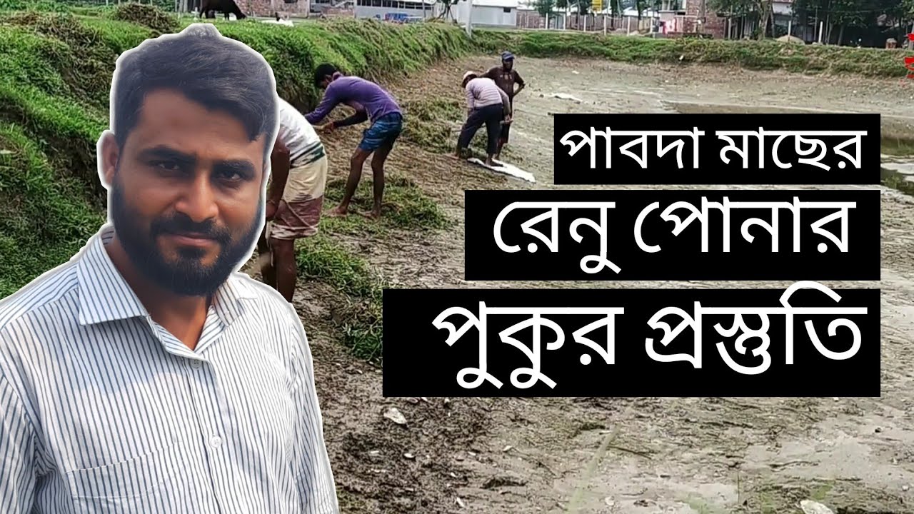 পাবদা মাছের রেনু পোনা ছাড়ার পুকুর প্রস্তুত কিভাবে করবেন | How To Prepare Pond For Pabda Seed Fish