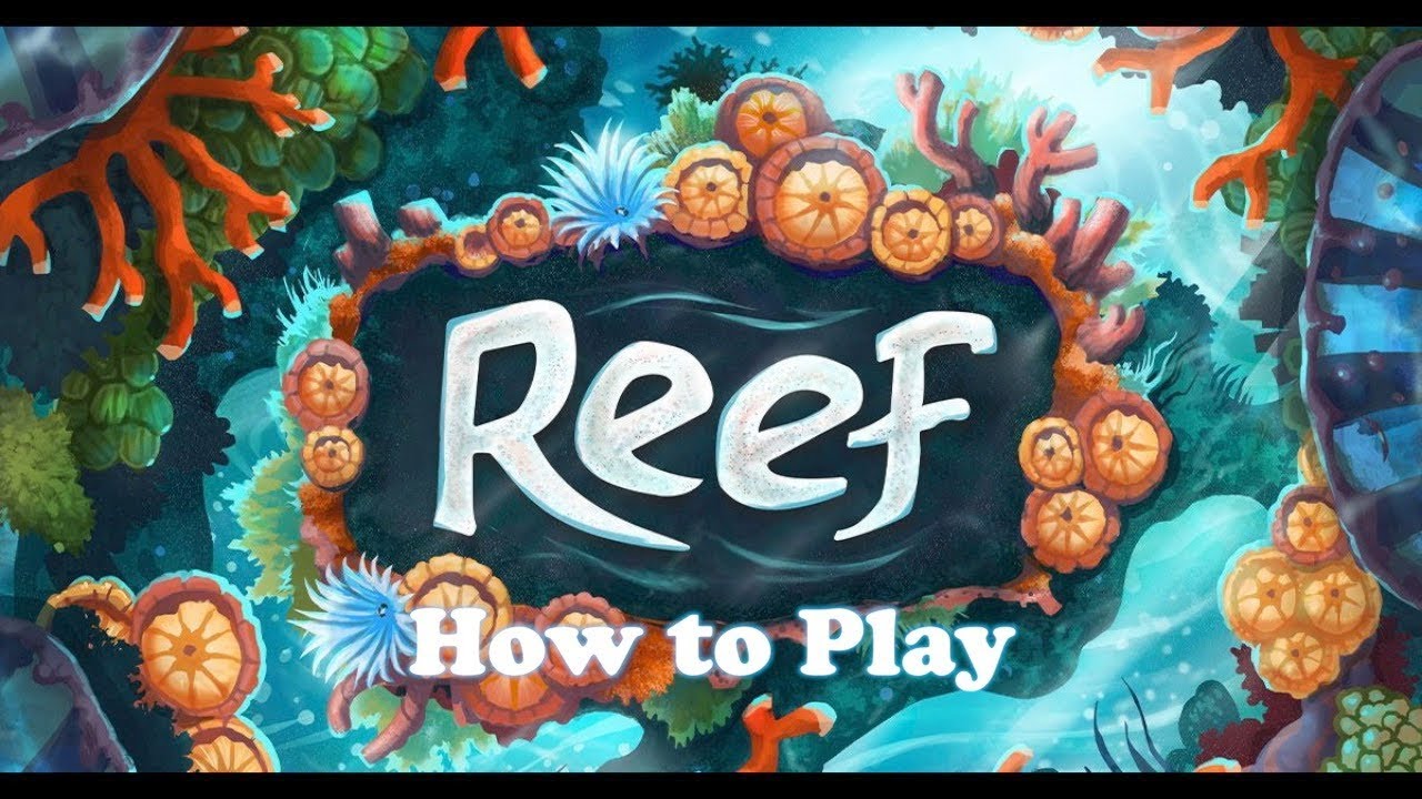 Learn How to Play Reef