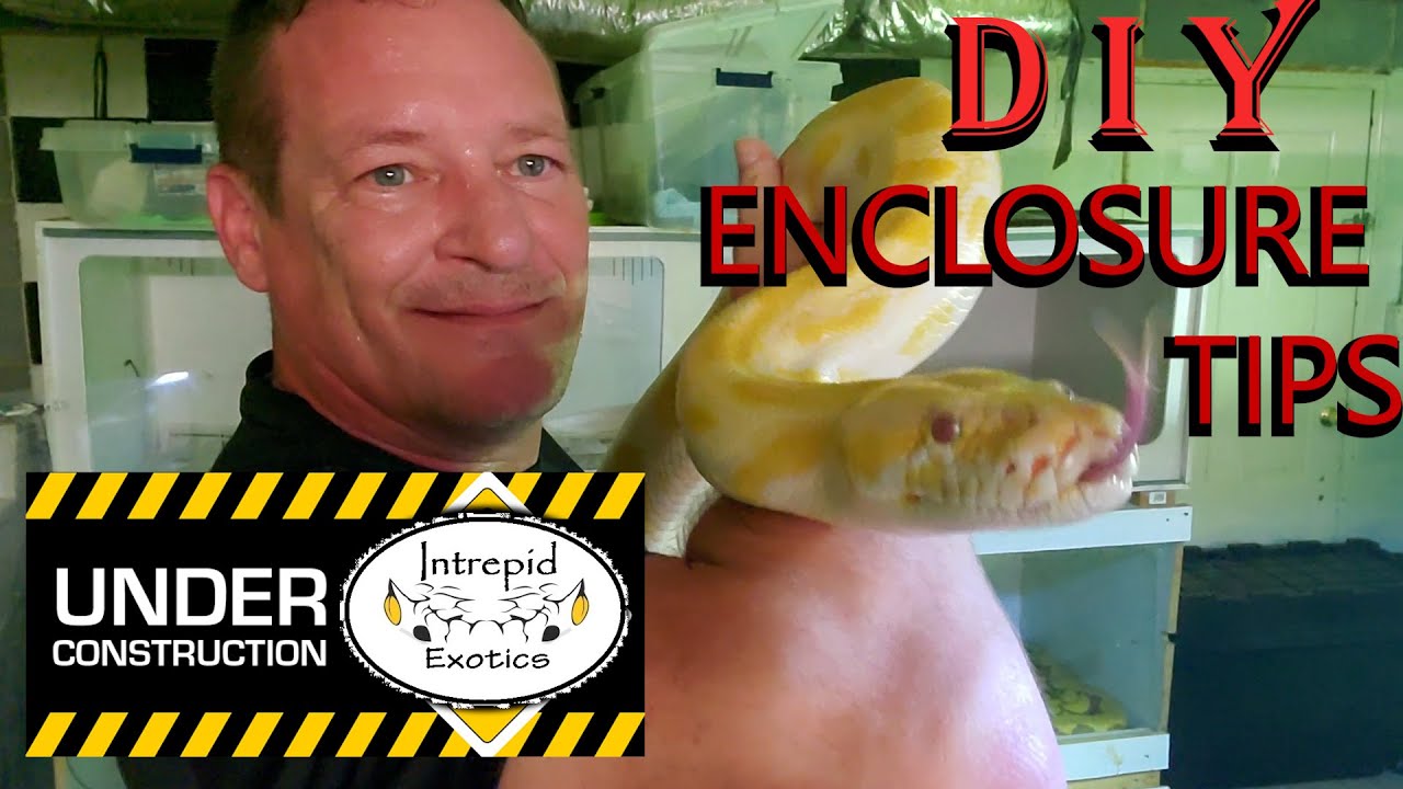 🐍 DIY Snake Enclosure Tips; MONEY SAVERS!!