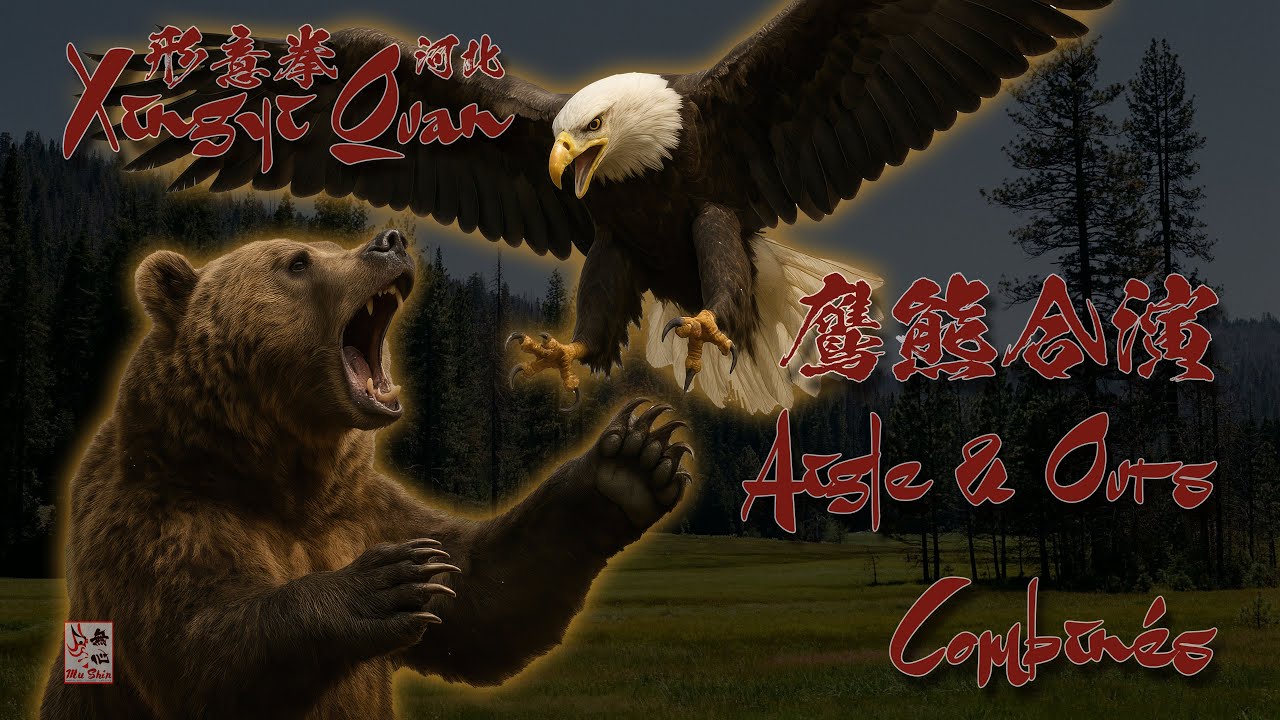Kung-Fu Style Combiné Aigle et Ours - Xingyi Quan - Aperçu