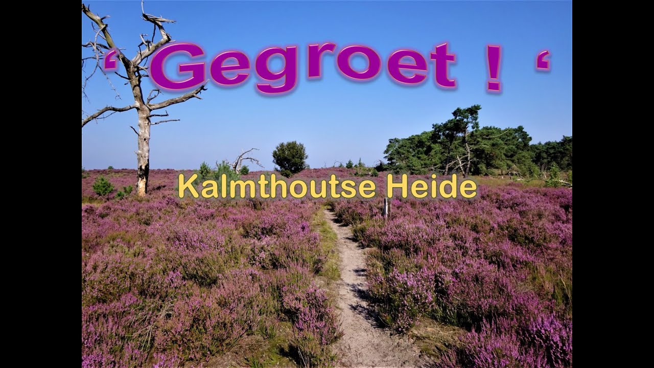 Gegroet! - Kalmthoutse Heide