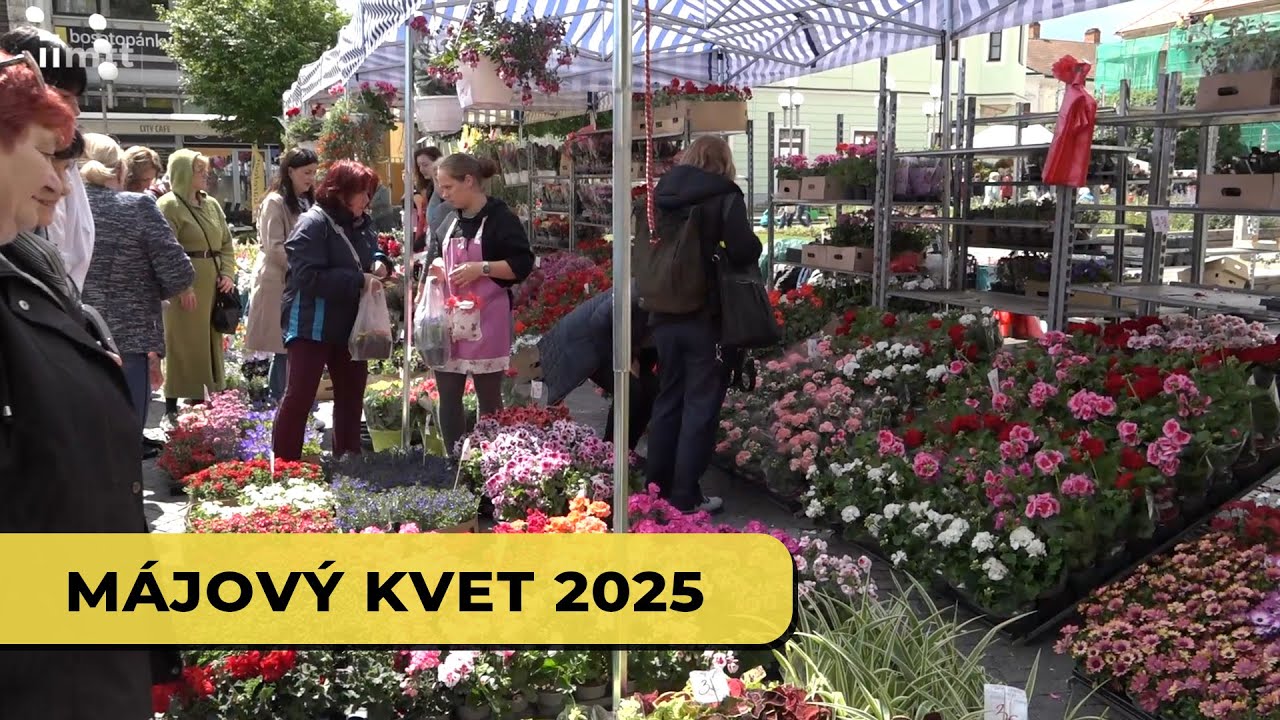 Májový kvet 2025