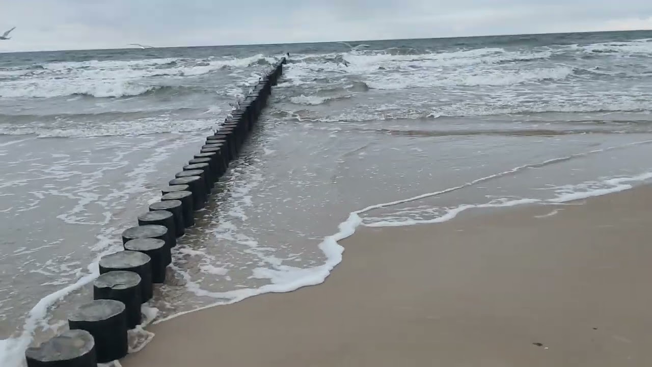 Dziwn&oacute;wek w październiku 6.10.25r plaża godzina 18 