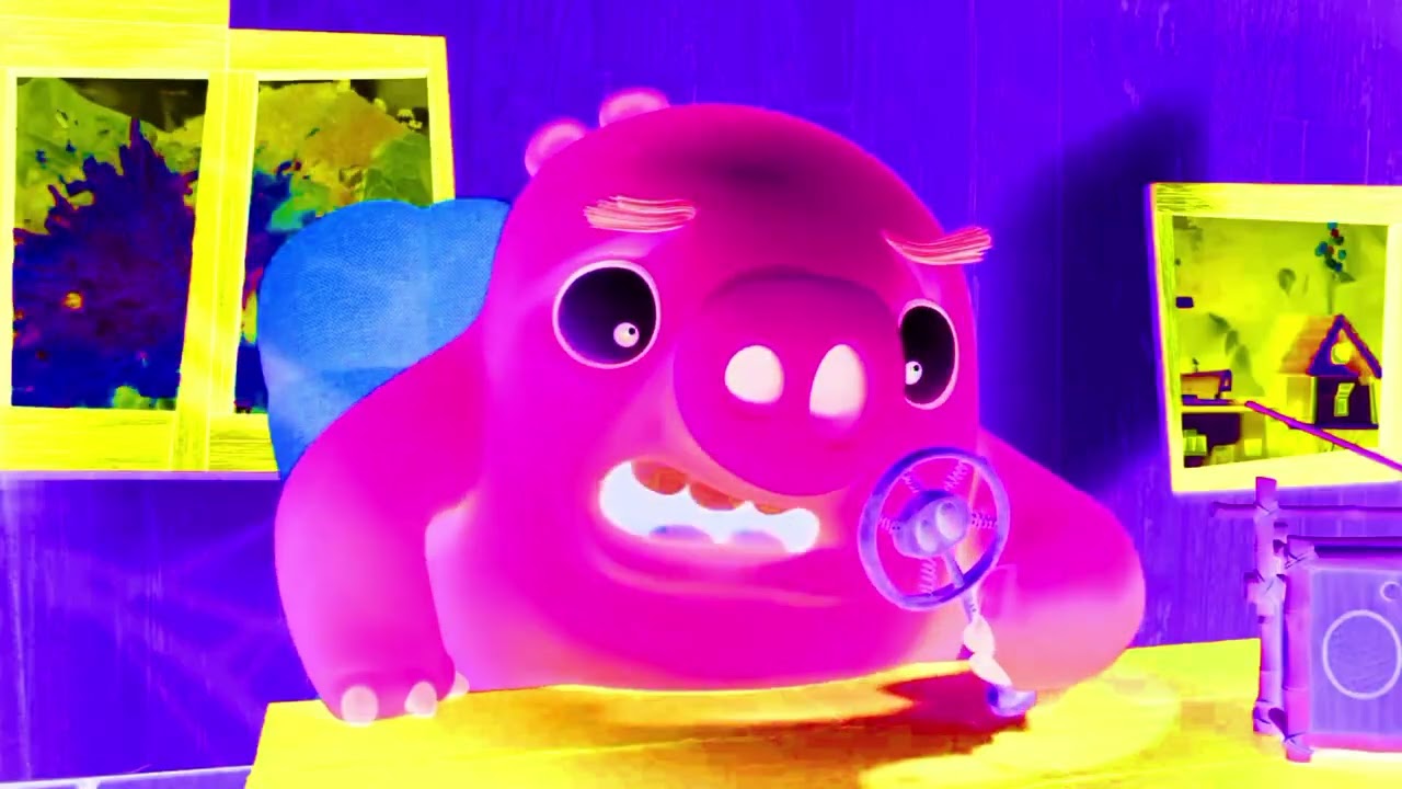 Catching angry birds attact the city alert to the  baby pig#inspired#privous