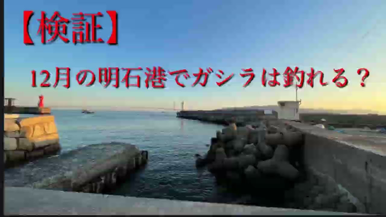 冬の明石港で穴釣り
