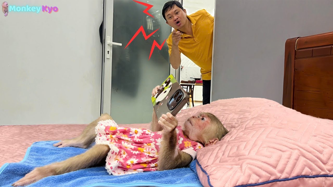 OMG! Kyo secretly stole Dad’s phone to watch YouTube – Can’t believe the ending!