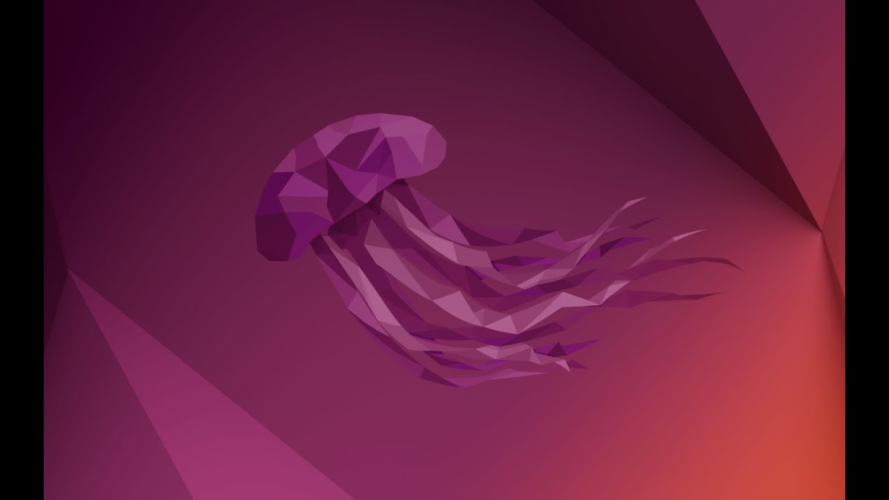 12 - Ubuntu Tutorial - Install and Remove a Package with apt