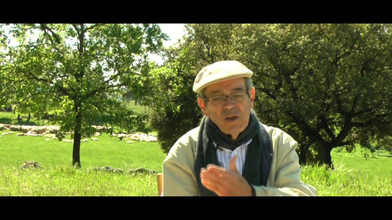 ENTREVISTA A LUIZ CARLOS PINHEIRO MACHADO (3 DE 3) EN 2015