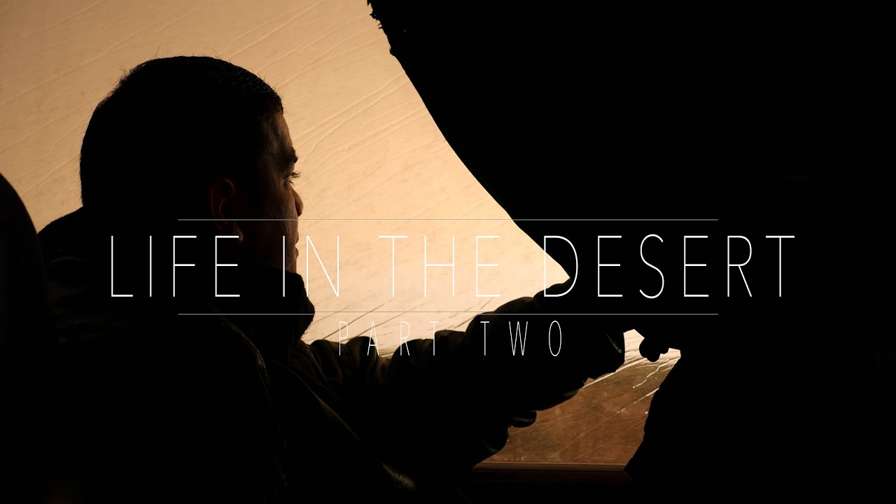LIFE IN THE DESERT: Part Two