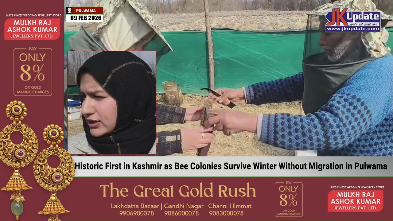Historic First in Kashmir as Bee Colonies Survive Winter Without Migration in Pulwama