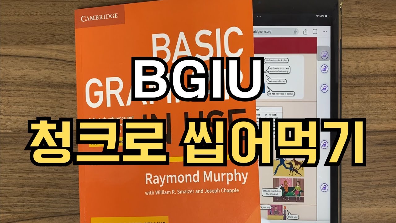 Basic Grammar in Use 청크 단위로 씹어먹기 (10회독 낭독해도 영어가 잘 늘지 않을 때)
