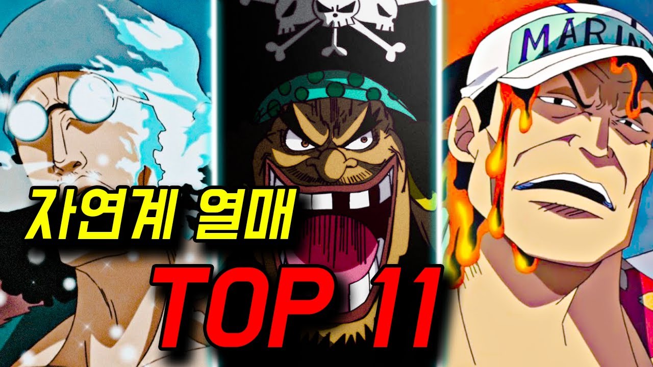 [원피스] 자연계 악마의 열매 순위 TOP 11