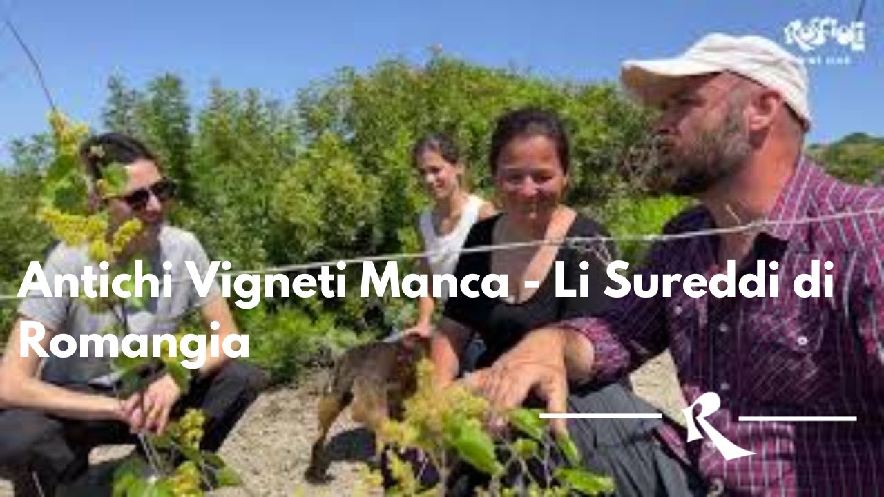 Antichi Vigneti Manca: un affare di famiglia a tutela della Romangia