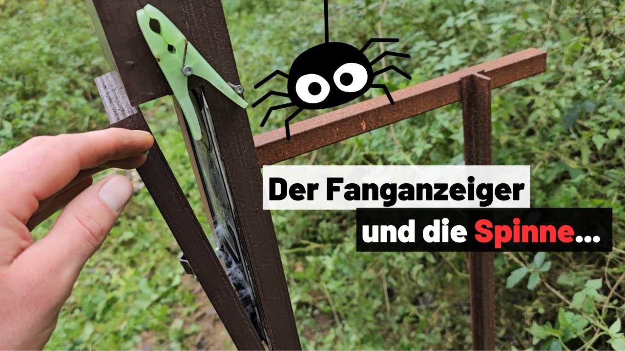 ❗️SCHWIERIGKEITEN❗️bei👁‍🗨optischem FALLENMELDER//Fallenjagd//JAGD 2024//TrapperInfo