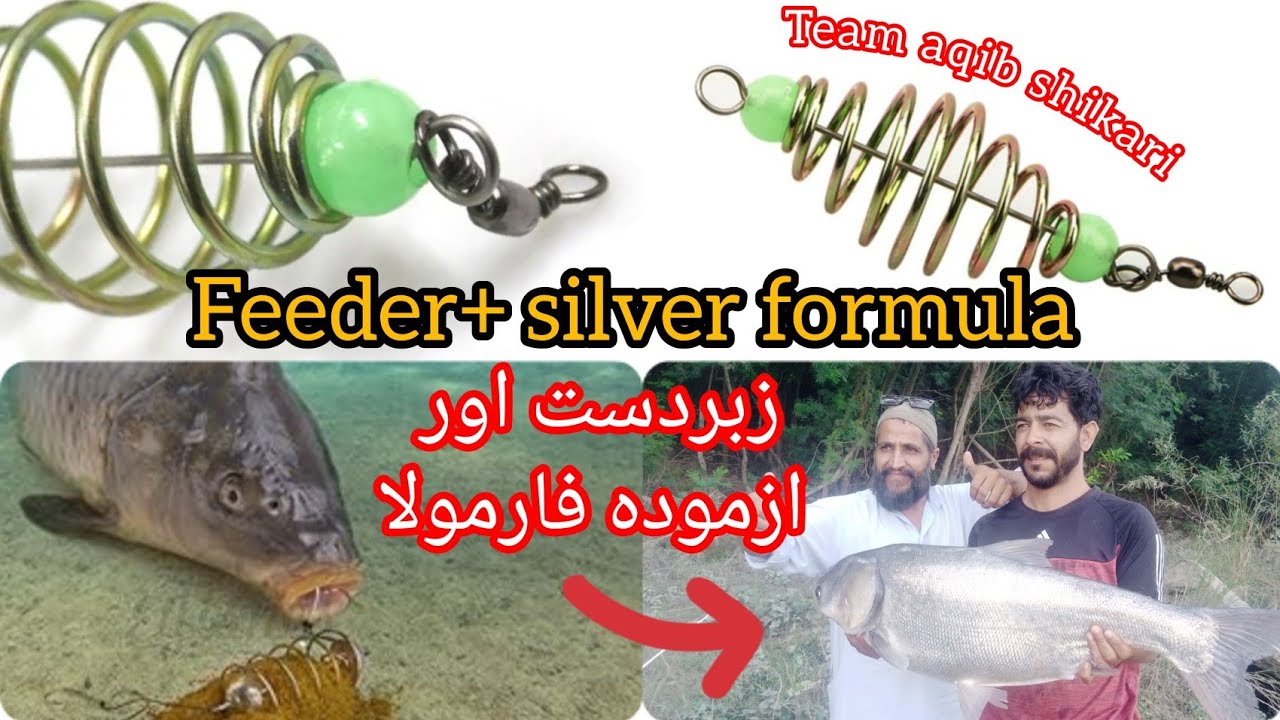 Asian carp (part 2) مکمل معلومات//complete information//silver bighead fish formula💯//Must try 💯