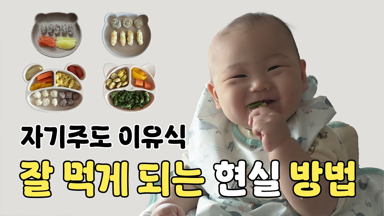 자기주도 이유식 30일간의 리얼 후기 & 실전 꿀팁 대공개❗ | 완밥하는 아기로 성장!
