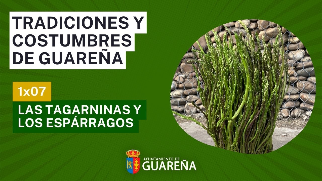 01x07: Tradiciones y Costumbres de #Guareña: 