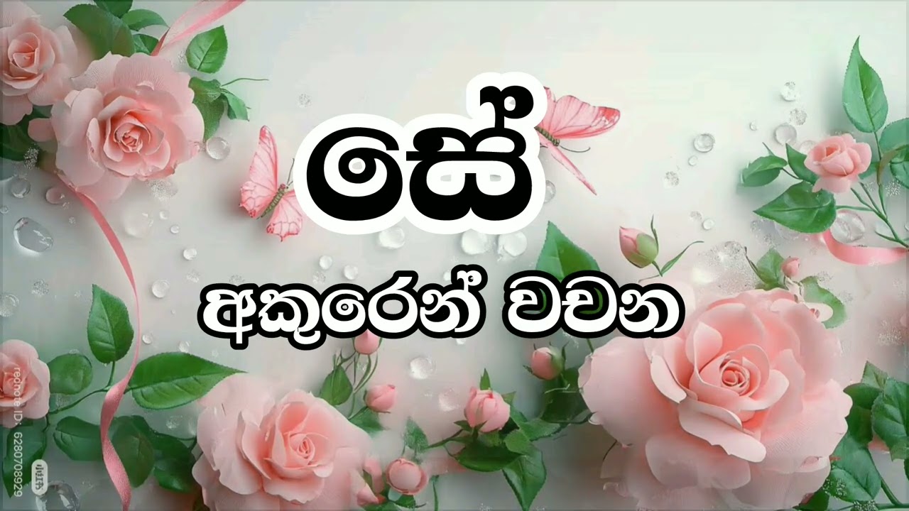 'සේ' අකුරෙන් වචන✍️🤩