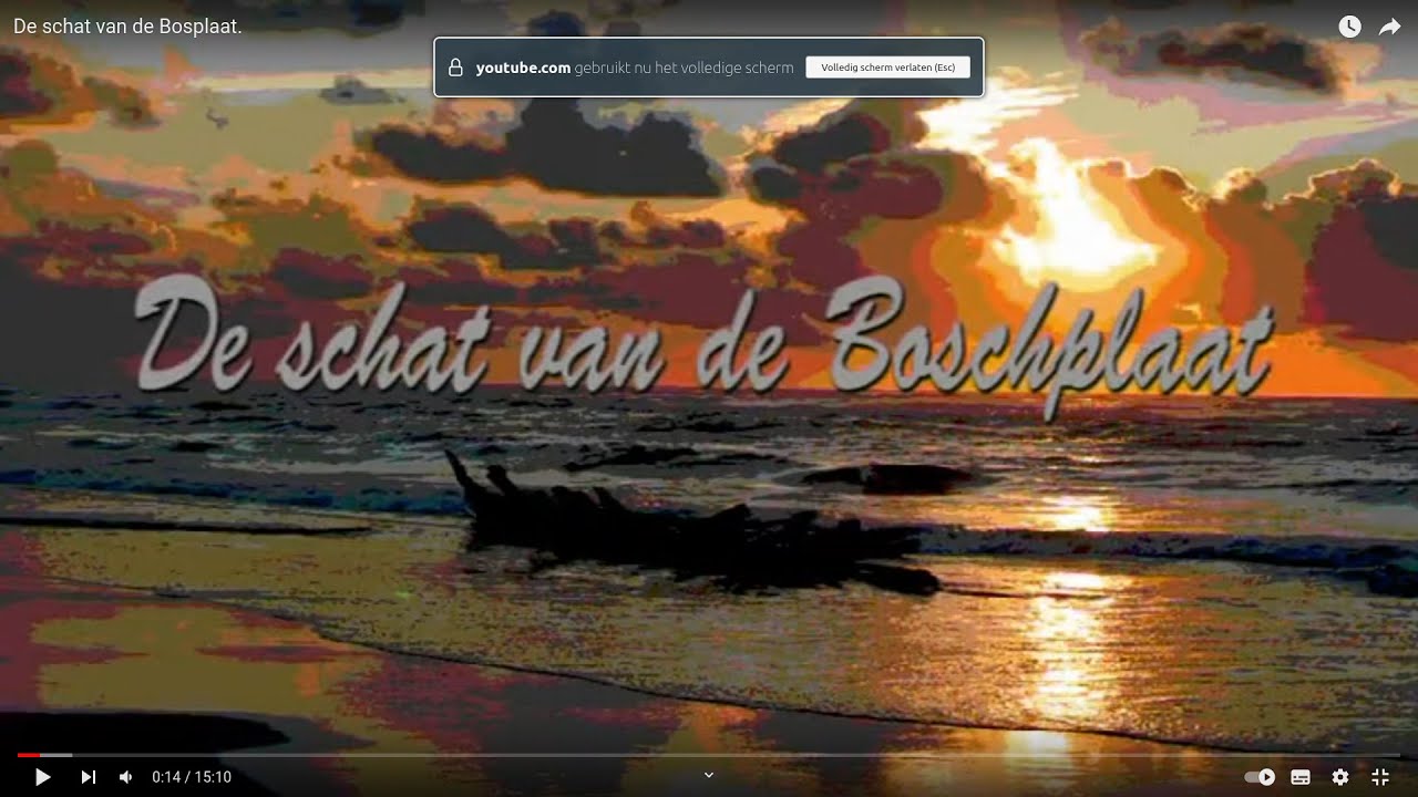De schat van de Bosplaat.