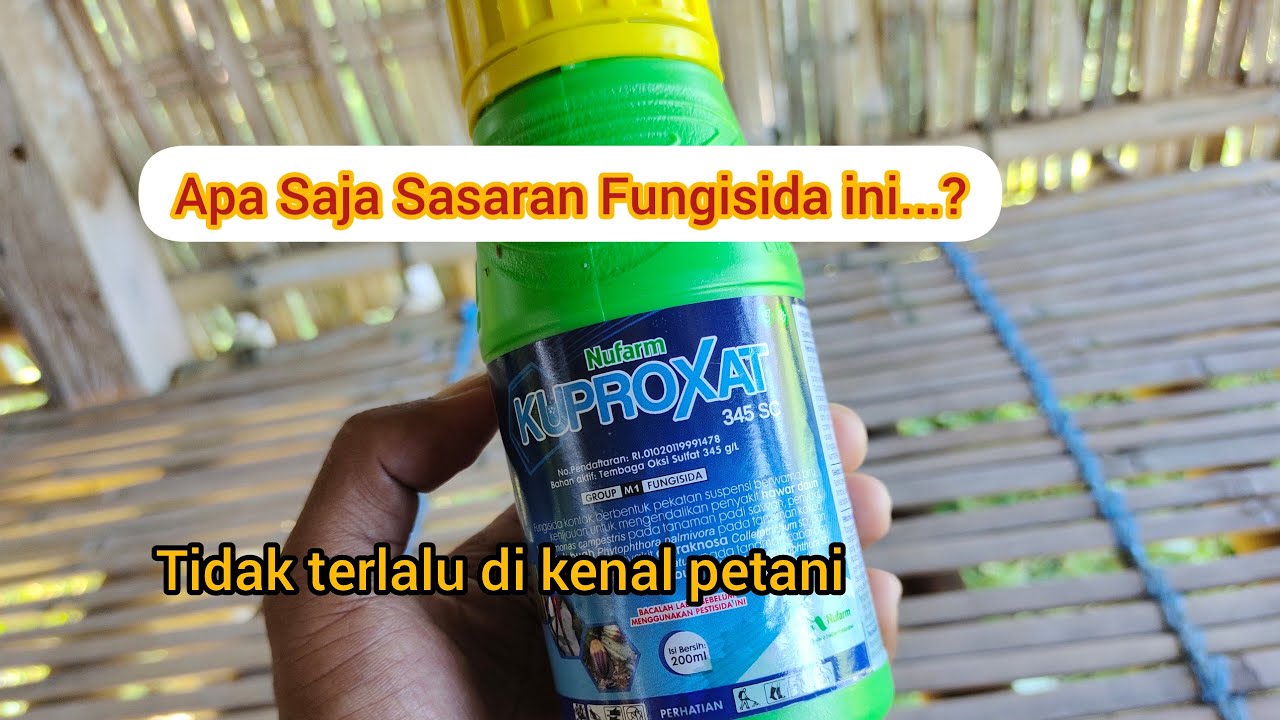 Banyak Petani tidak tau _ Review Fungisida Kuproxat dan sasaran bakterinya