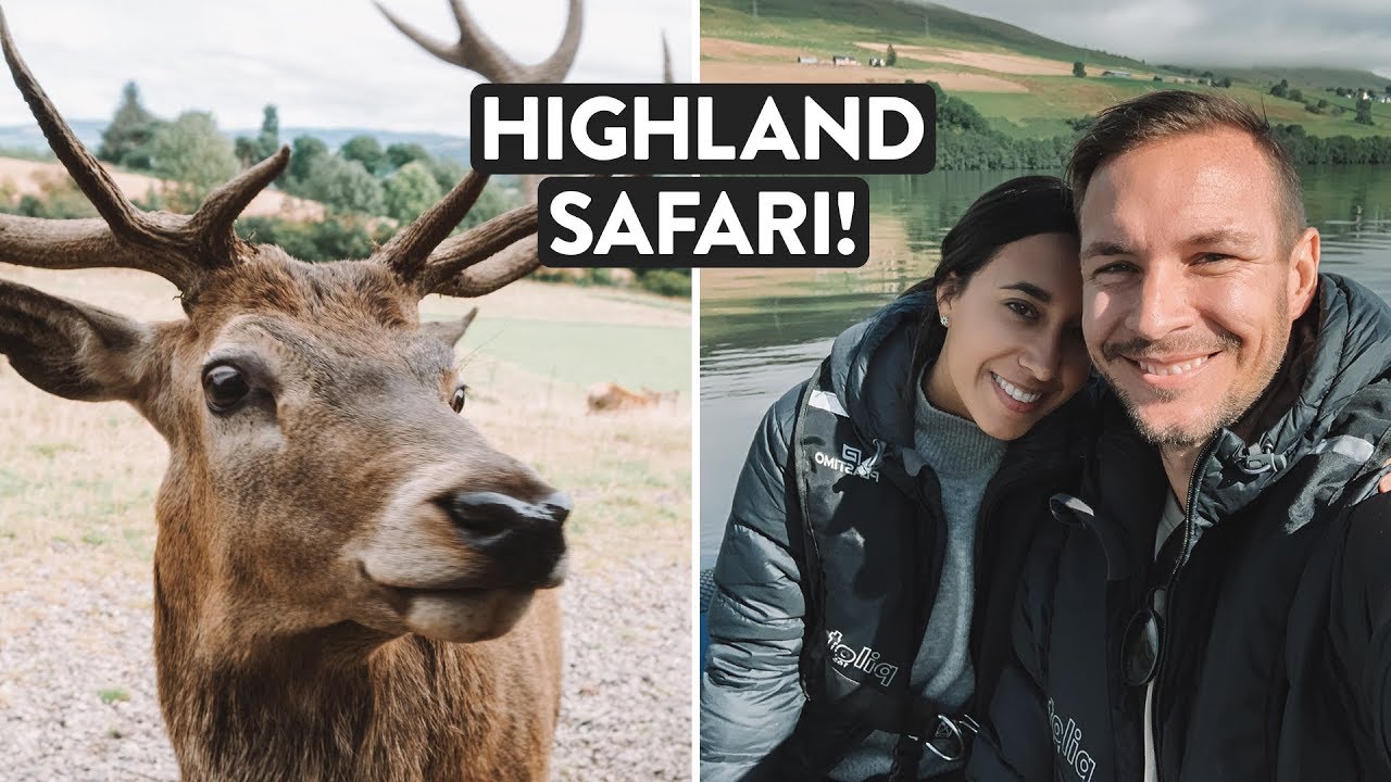 Our best day in Scotland - Feeding Red Deer & Loch Tay Cruise | Highland Safaris [Ad]