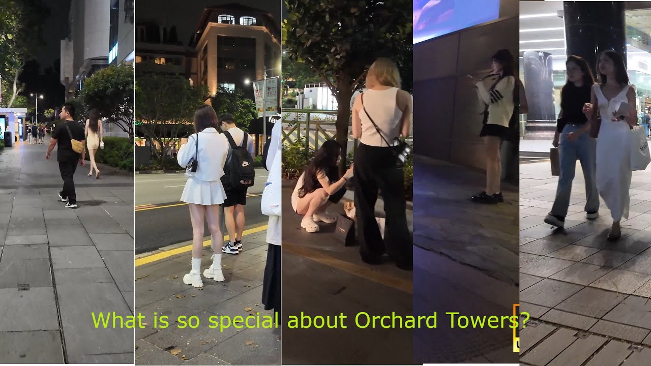 What is so special about Orchard Tower-Day 2