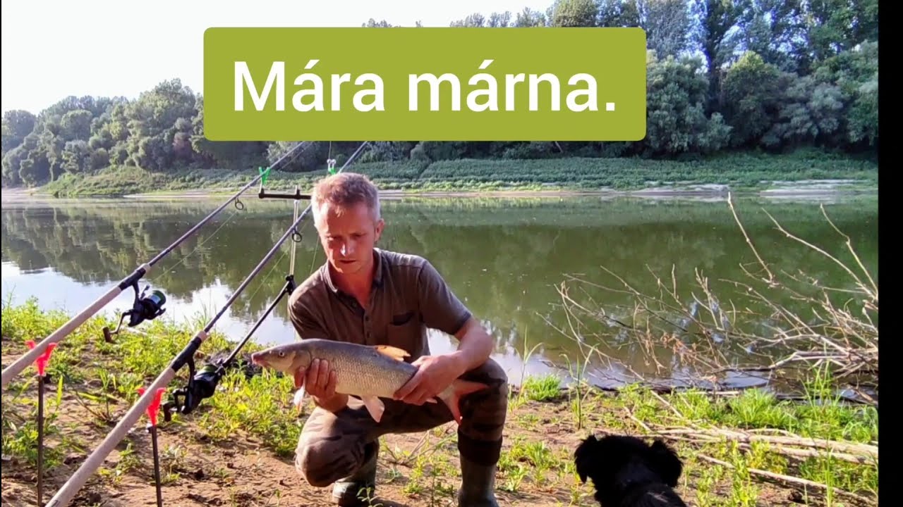 12. rész - Mára márna - My Fishing Borsos Csaba