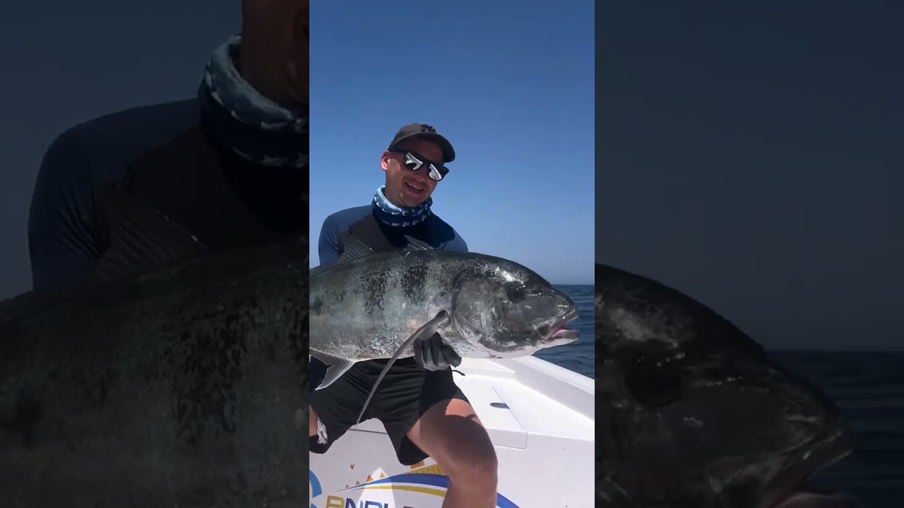One of the best sport fish yellowspotted trevally
