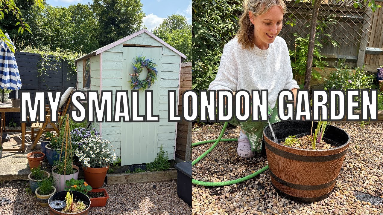 A WEEK IN MY SMALL LONDON GARDEN / MAKING JAM AND POTTERING IN THE GARDEN