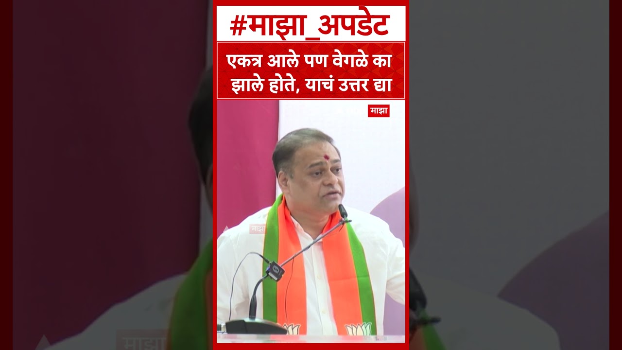 Amit Satam on Thackeray : एकत्र आले पण वेगळे का झाले होते, याचं उत्तर द्या