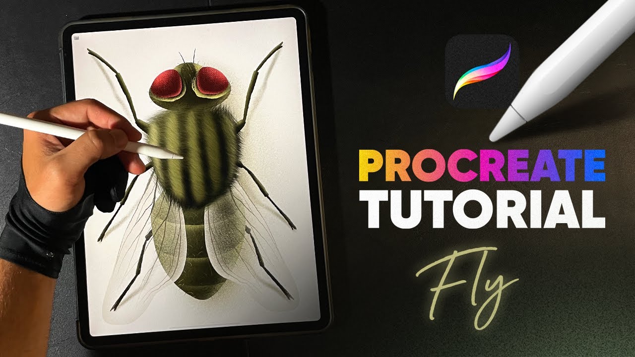 🪰Fly Drawing in Procreate | Step by Step Tutorial