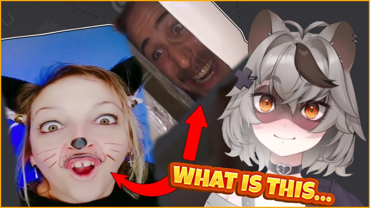Snuffy Reacts to TikTok Memes #1